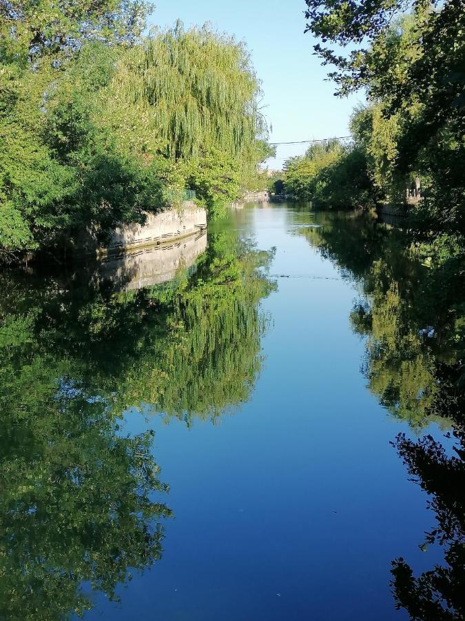 Gite Les Demoiselles Des Sorgues LʼIsle-sur-la-Sorgue المظهر الخارجي الصورة